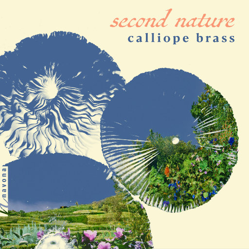 国产精品国产精品亚洲专区无码
